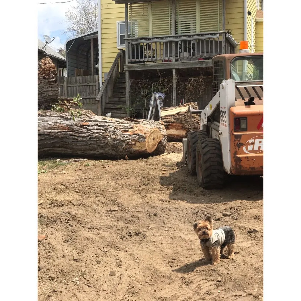 Custom lawn mowing service for outdoor upgrades across Bellevue, NE - Atrium Tree Service
