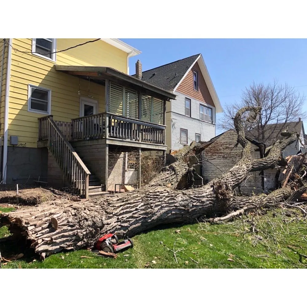 Custom lawn mowing service for year-round maintenance in Bellevue, NE by Atrium Tree Service