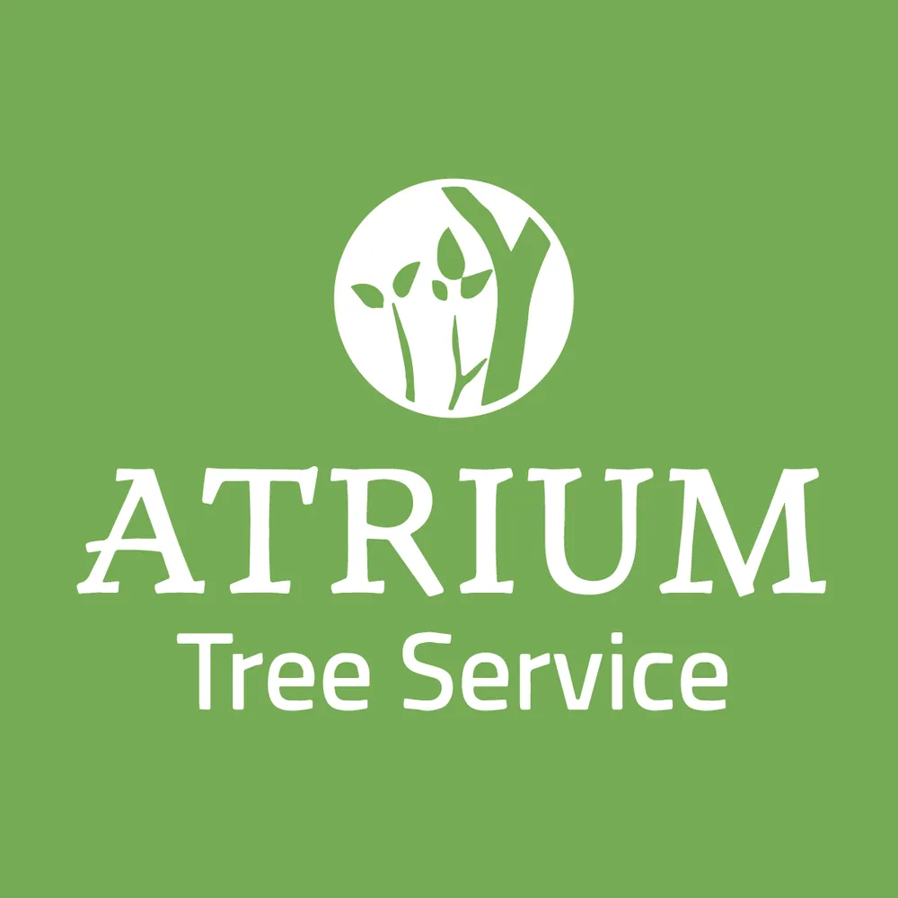 Custom yard maintenance for outdoor upgrades in Bellevue, NE by Atrium Tree Service