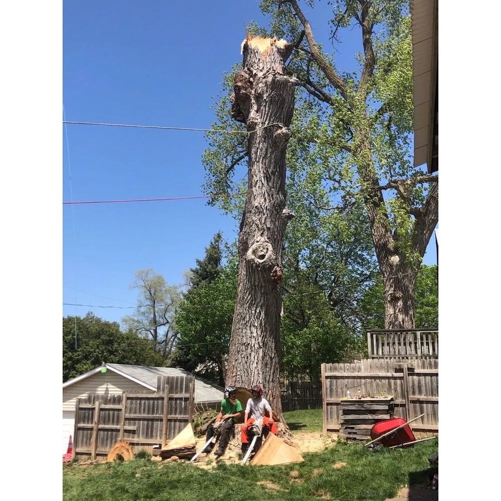 Professional landscaping services in Bellevue, NE - Atrium Tree Service