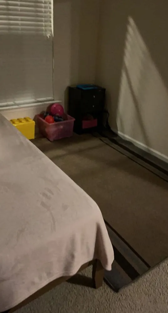 Top-rated lawn care service in Garner, NC - A&T’S Bumblebeezz Lawn & Cleaning Service