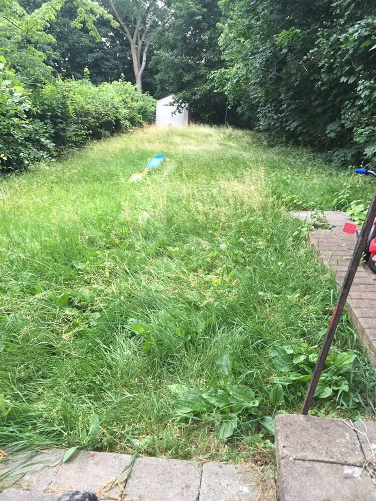 Reliable lawn care service experts serving Carmel, NY - ATS Landscaping & Property Maintenance