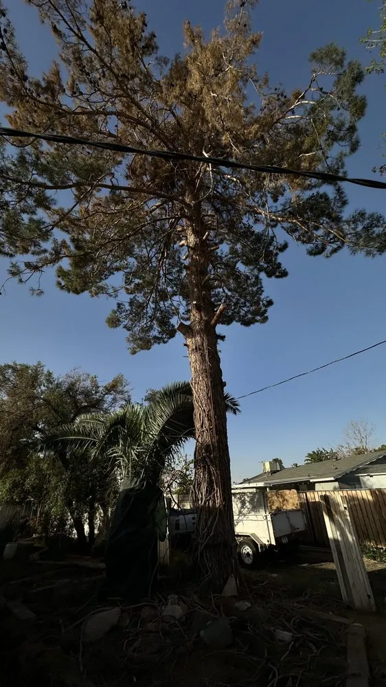 Trusted outdoor landscaping for homes in Phoenix, AZ by ATS Landscaping