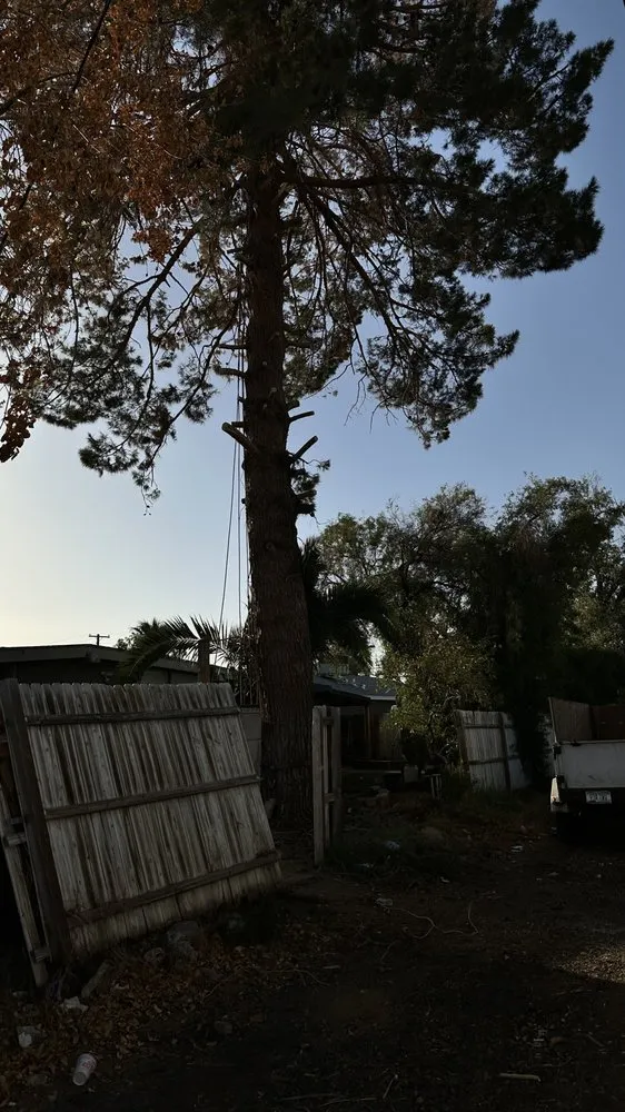 Custom yard cleanup service experts serving Phoenix, AZ - ATS Landscaping