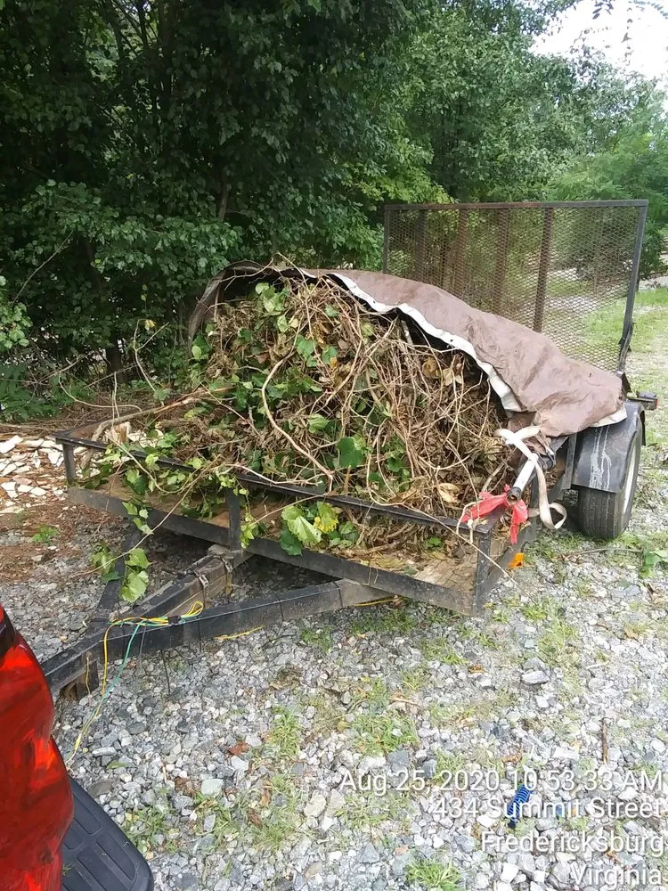 Professional residential landscaping experts serving Charlottesville, VA - AT's Lawn & Estate Maintenance