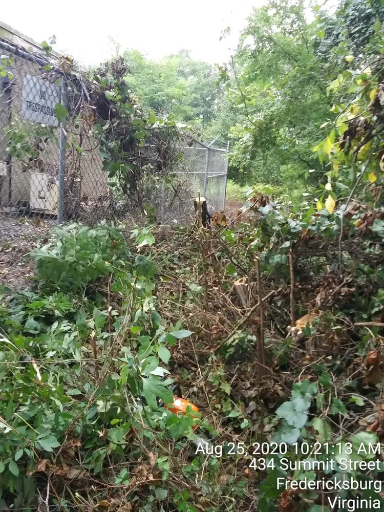 Affordable lawn mowing service in Charlottesville, VA by AT's Lawn & Estate Maintenance