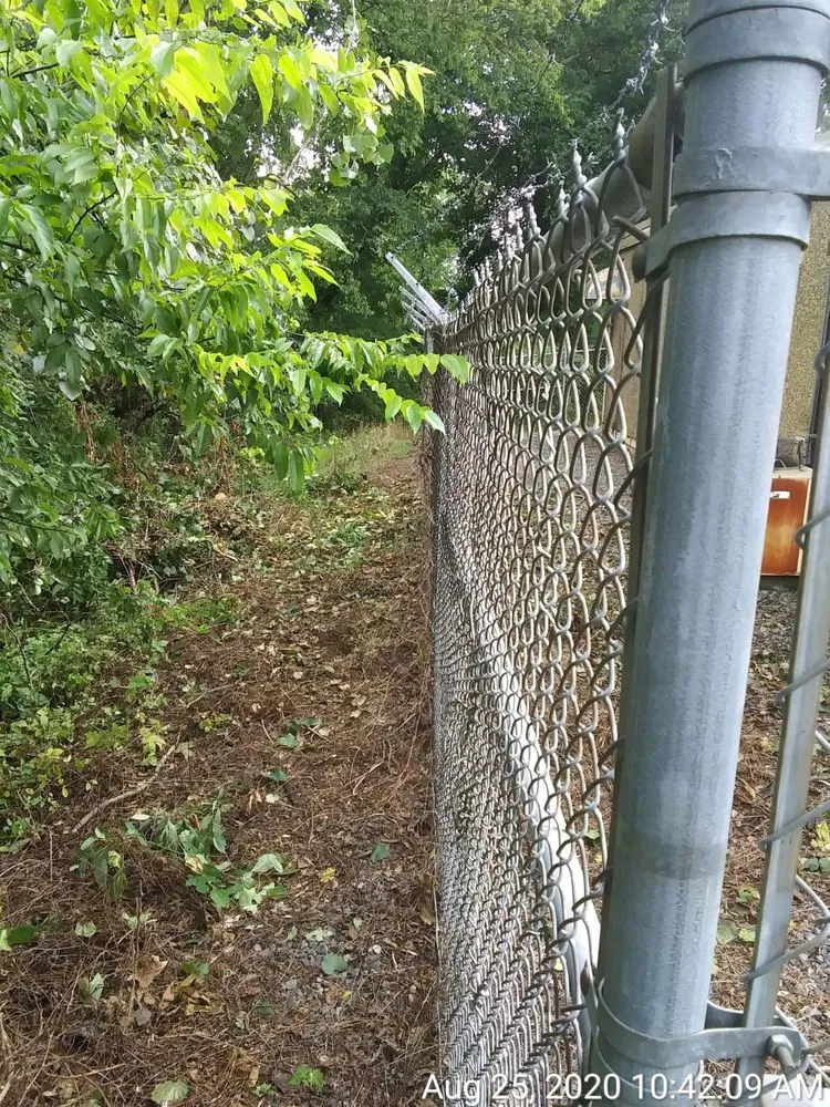 Custom yard maintenance in Charlottesville, VA by AT's Lawn & Estate Maintenance