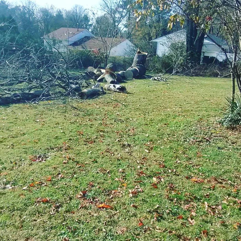 Custom landscape installation in Charlottesville, VA - AT's Lawn & Estate Maintenance