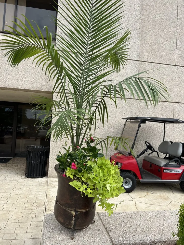 Affordable residential landscaping near you across White Hall, AR - AT's Lawn Service and Landscaping