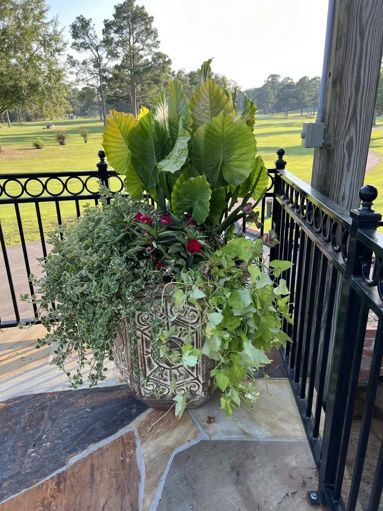 Trusted lawn mowing service in White Hall, AR by AT's Lawn Service and Landscaping