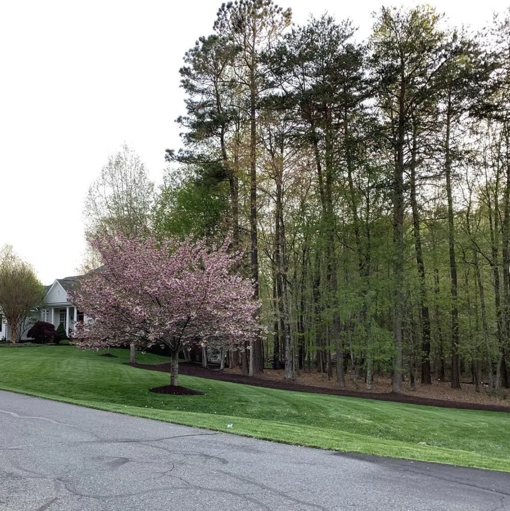 Expert residential landscaping experts serving Fredericksburg, VA - ATS&L