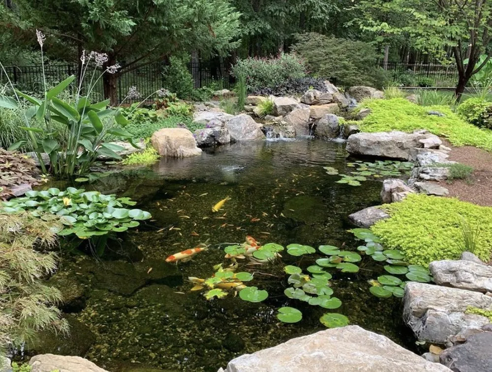 Professional lawn care service in Fredericksburg, VA by ATS&L