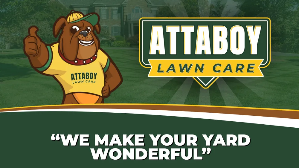 Custom yard cleanup service experts serving Macon, GA - Attaboy Lawn Care