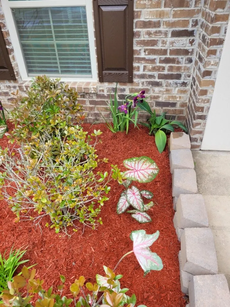 Affordable lawn care service in Bossier City, LA by Attaway's Lawn and Landscaping