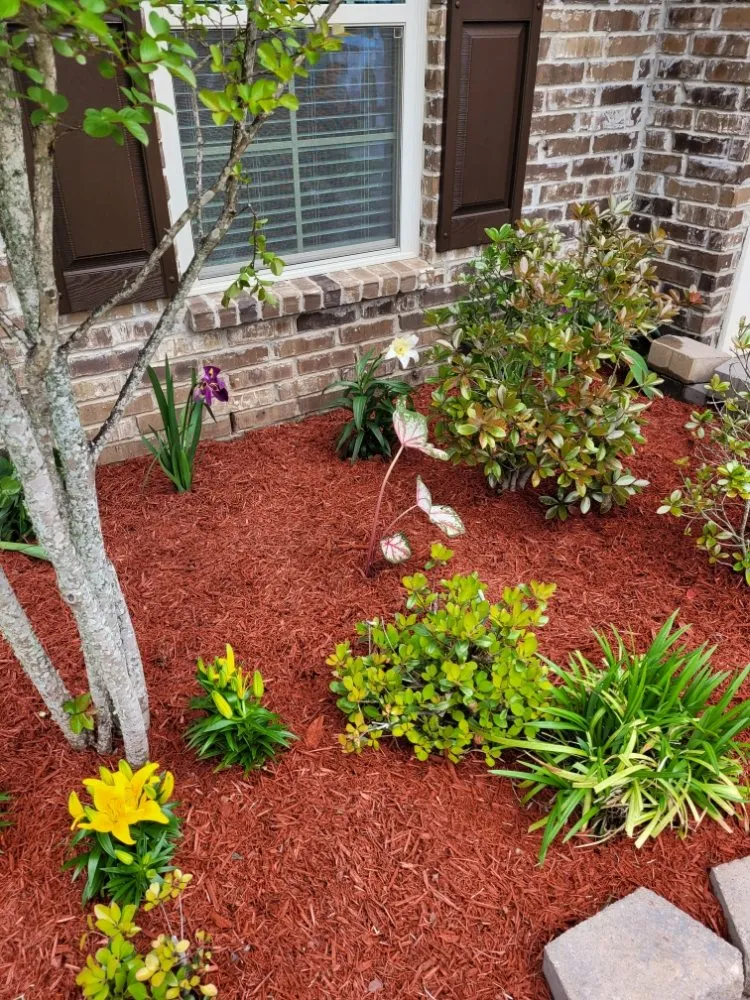 Top-rated lawn mowing service for year-round maintenance in Bossier City, LA by Attaway's Lawn and Landscaping