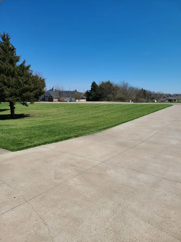 Expert yard cleanup service experts serving Van Alstyne, TX - Atteberry Property Services