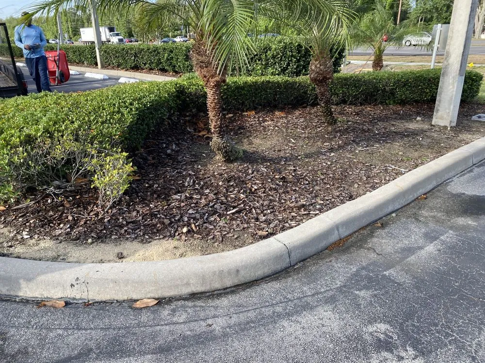 Professional landscape installation for homes across Orlando, FL - Attention 2 Detail Landscaping and Maintenance
