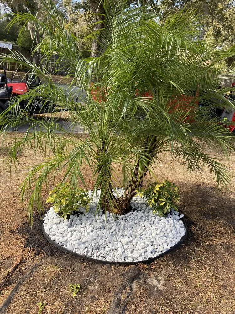 Reliable landscape design in Orlando, FL - Attention 2 Detail Landscaping and Maintenance