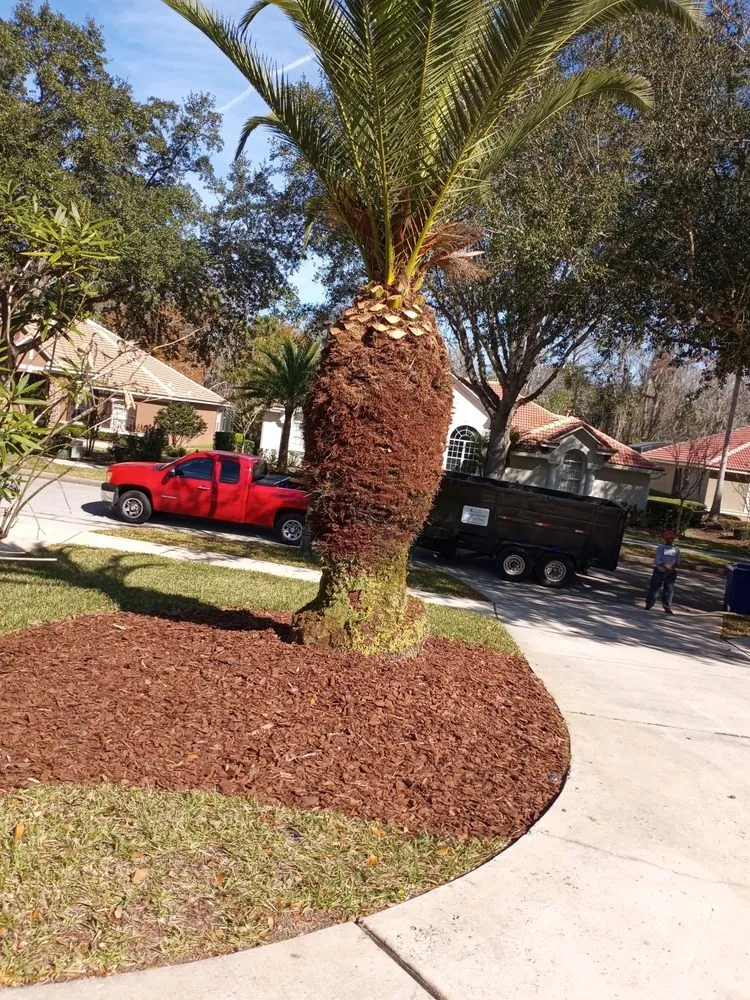 Custom landscape installation for outdoor upgrades across Orlando, FL - Attention 2 Detail Landscaping and Maintenance