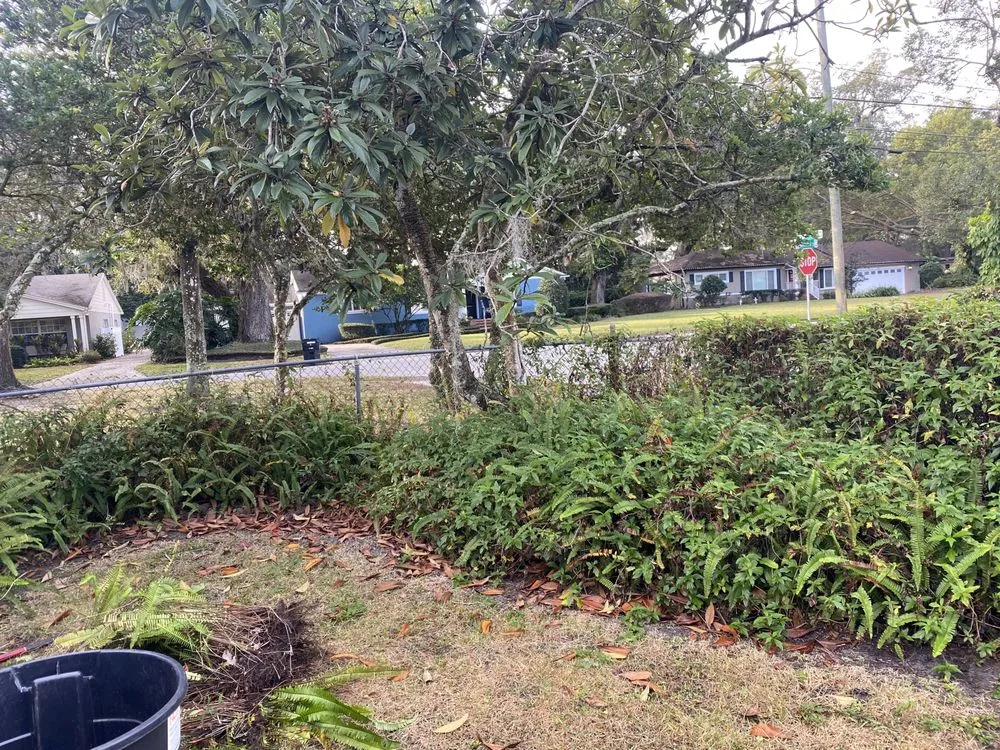 Custom lawn mowing service in Orlando, FL - Attention 2 Detail Landscaping and Maintenance