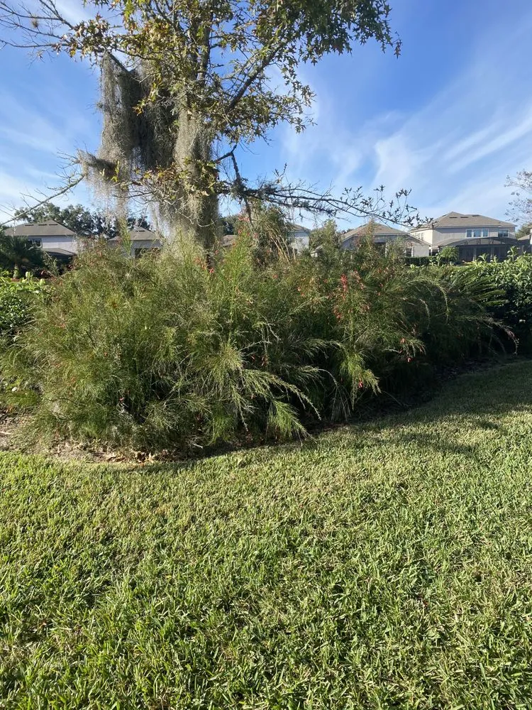 Local landscape design in Orlando, FL by Attention 2 Detail Landscaping and Maintenance