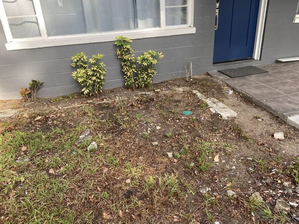 Local lawn care service in Orlando, FL by Attention 2 Detail Landscaping and Maintenance