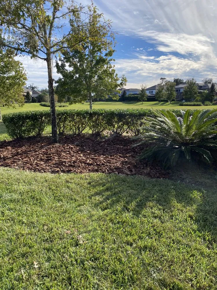 Top-rated landscaping services experts serving Orlando, FL - Attention 2 Detail Landscaping and Maintenance