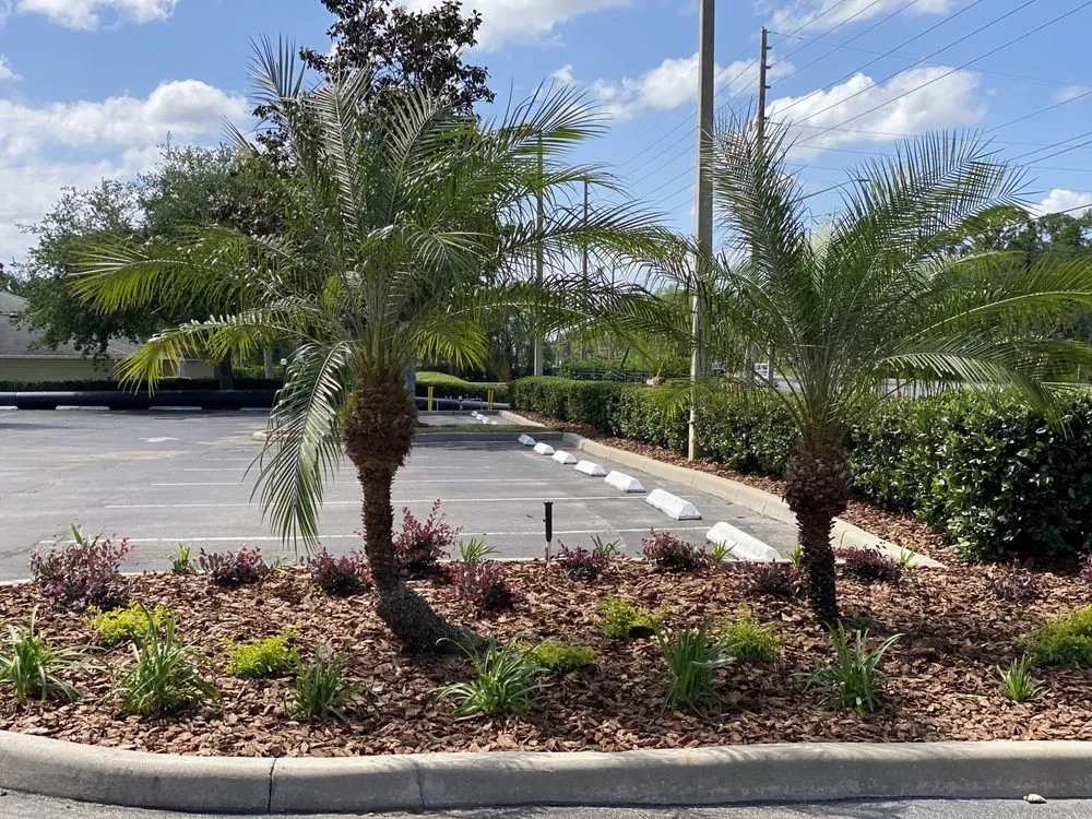 Expert residential landscaping in Orlando, FL - Attention 2 Detail Landscaping and Maintenance