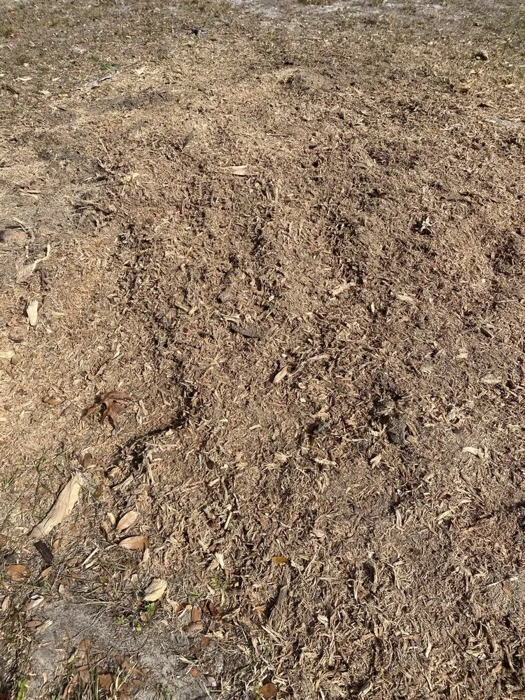 Professional landscaping services with custom design in Orlando, FL by Attention 2 Detail Landscaping and Maintenance