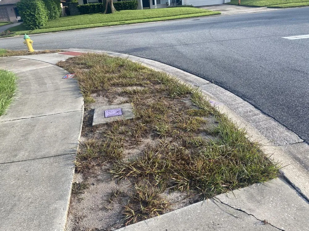 Reliable landscape design in Orlando, FL by Attention 2 Detail Landscaping and Maintenance