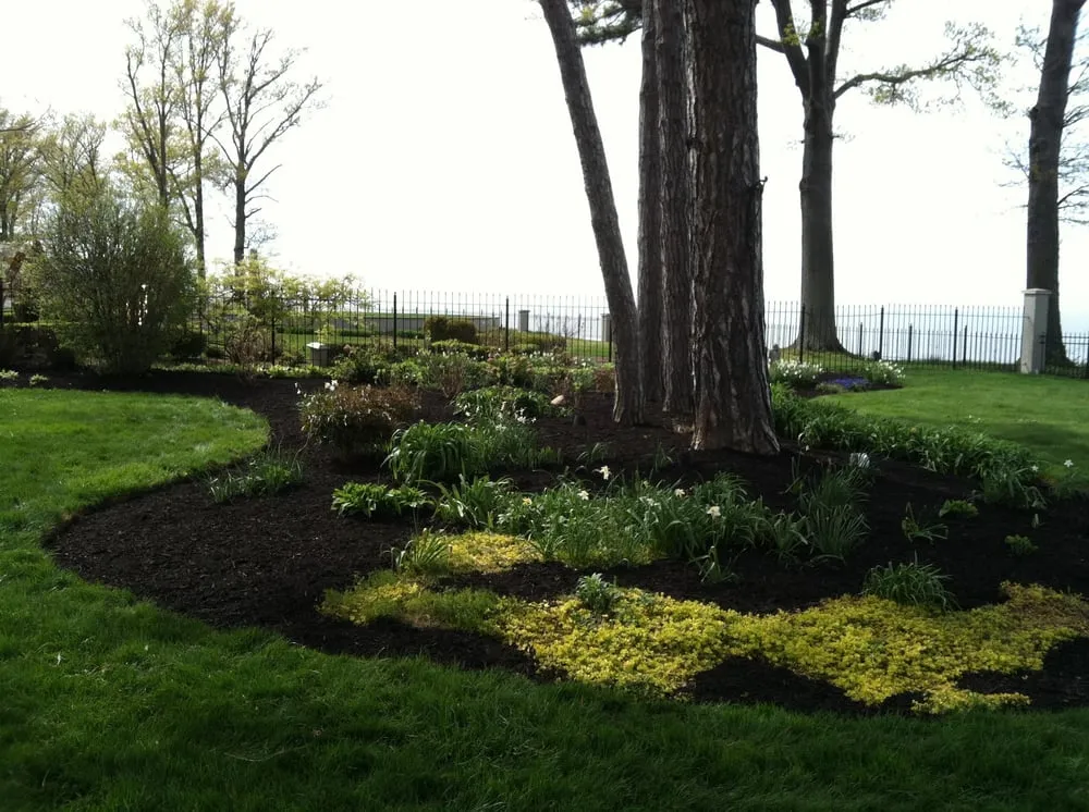 Trusted yard maintenance experts serving North Ridgeville, OH - Attention 2 Detail Lawncare