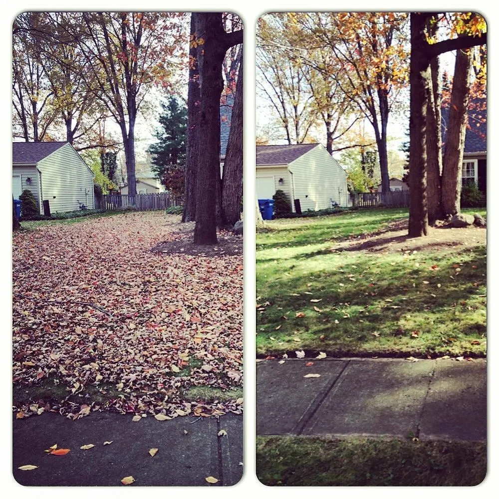 Local yard cleanup service for outdoor upgrades in North Ridgeville, OH by Attention 2 Detail Lawncare