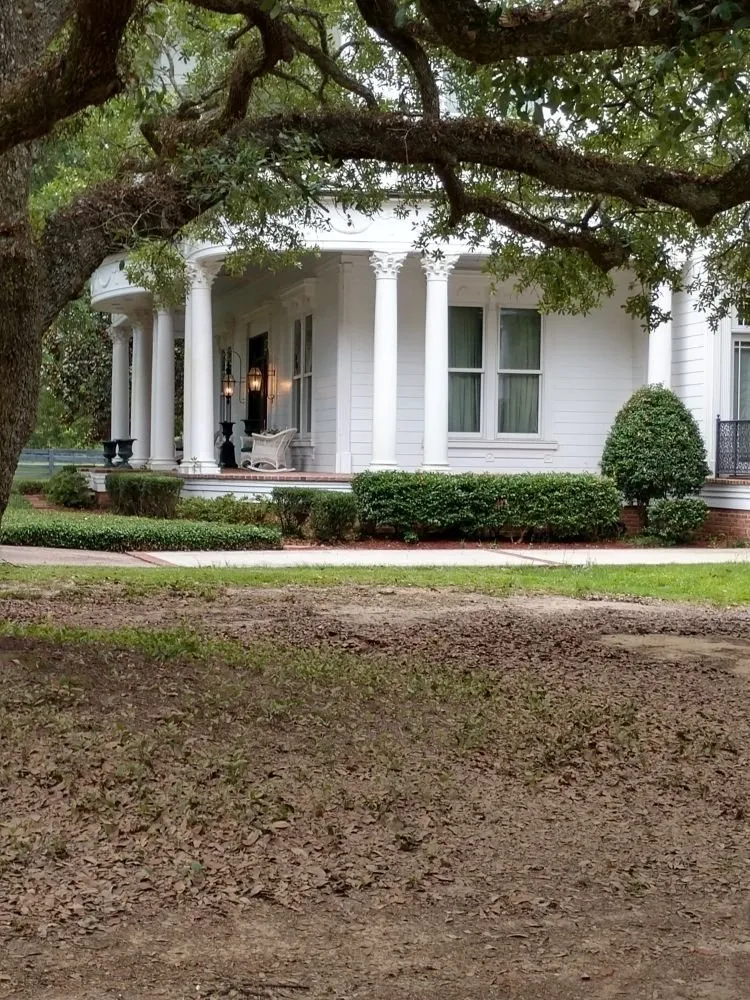 Reliable outdoor landscaping in Abita Springs, LA - Attention to detail