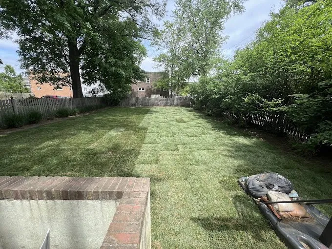 Professional yard cleanup service for beautiful yards across Philadelphia, PA - Attention To Detail ATD