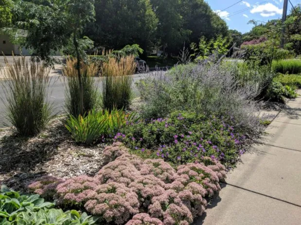 Affordable yard maintenance experts serving Richfield, MN - Attractive Landscaping