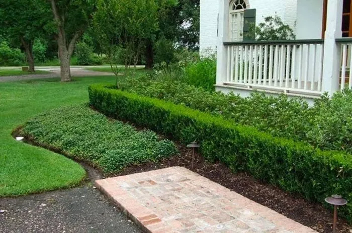 Top-rated residential landscaping experts serving Richfield, MN - Attractive Landscaping