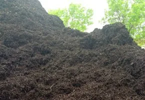 Top-rated landscape design experts serving Richfield, MN - Attractive Landscaping