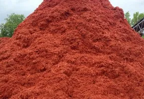 Expert residential landscaping near you across Richfield, MN - Attractive Landscaping