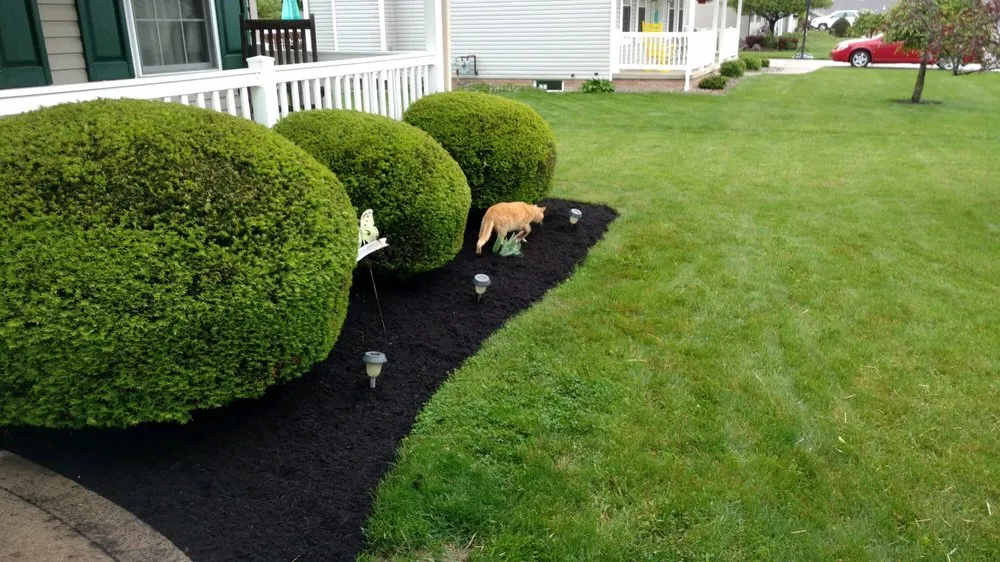 Top-rated lawn mowing service in New Philadelphia, OH - Atwood Lawn and Landscaping