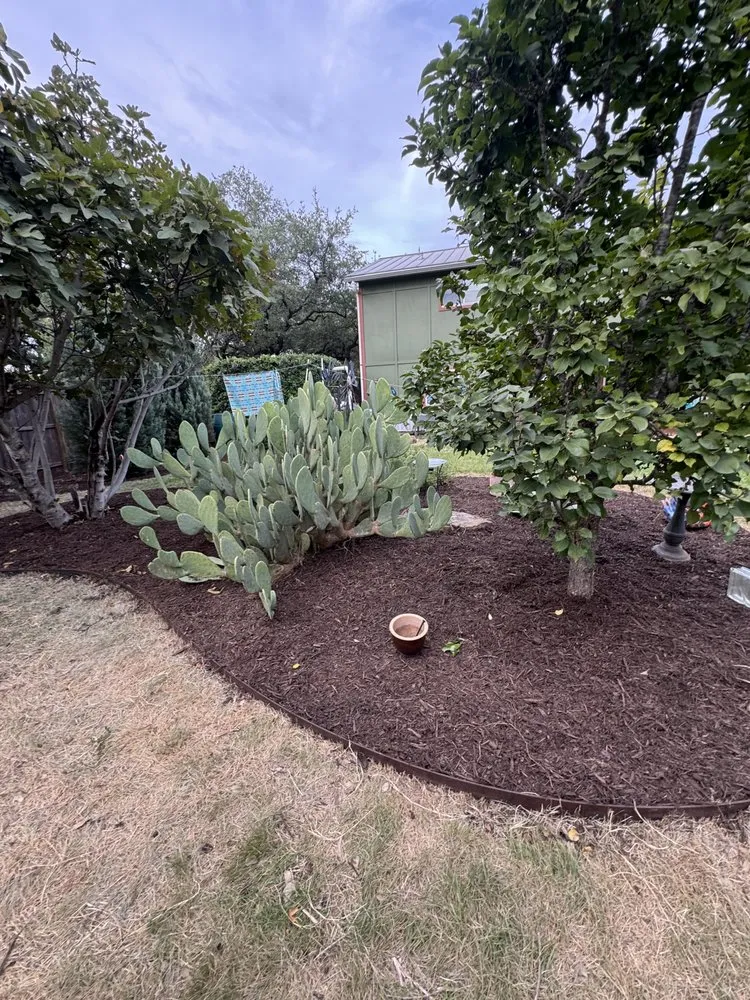 Trusted lawn mowing service for outdoor upgrades across Georgetown, TX - ATX Junk and Landscape Remodel