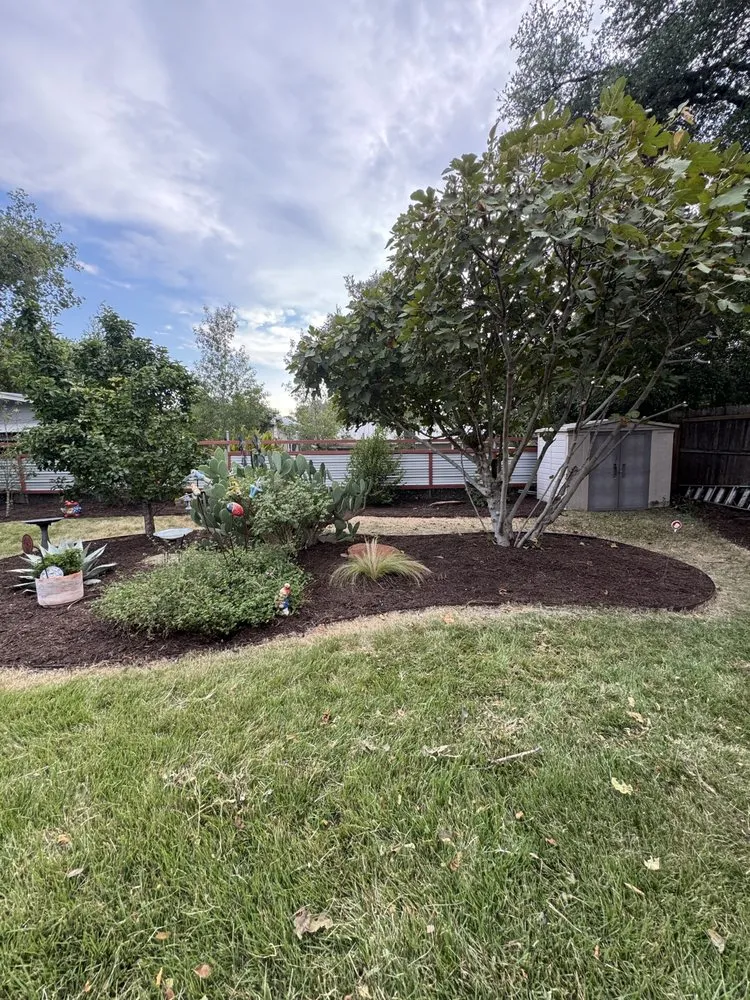 Expert landscape installation in Georgetown, TX - ATX Junk and Landscape Remodel