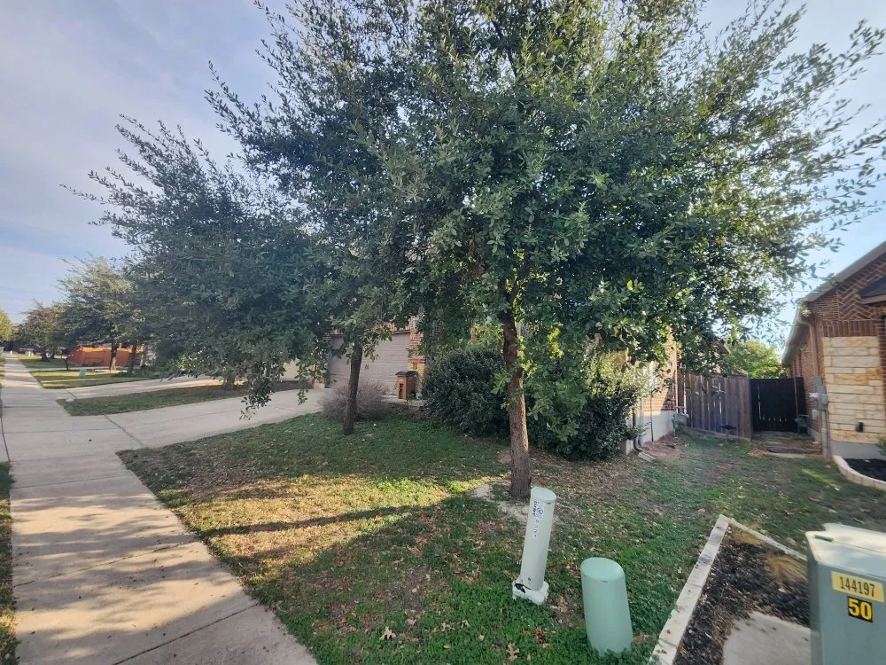 Local lawn care service experts serving Austin, TX - ATX Landscaping & More