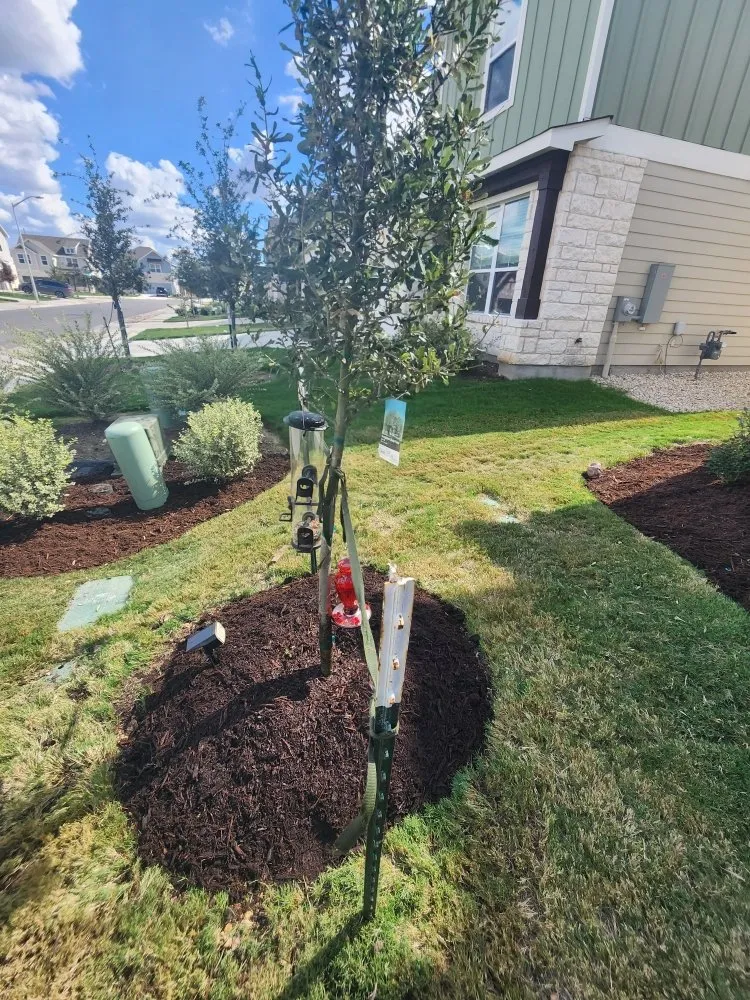 Custom lawn mowing service with custom design in Austin, TX by ATX Landscaping & More