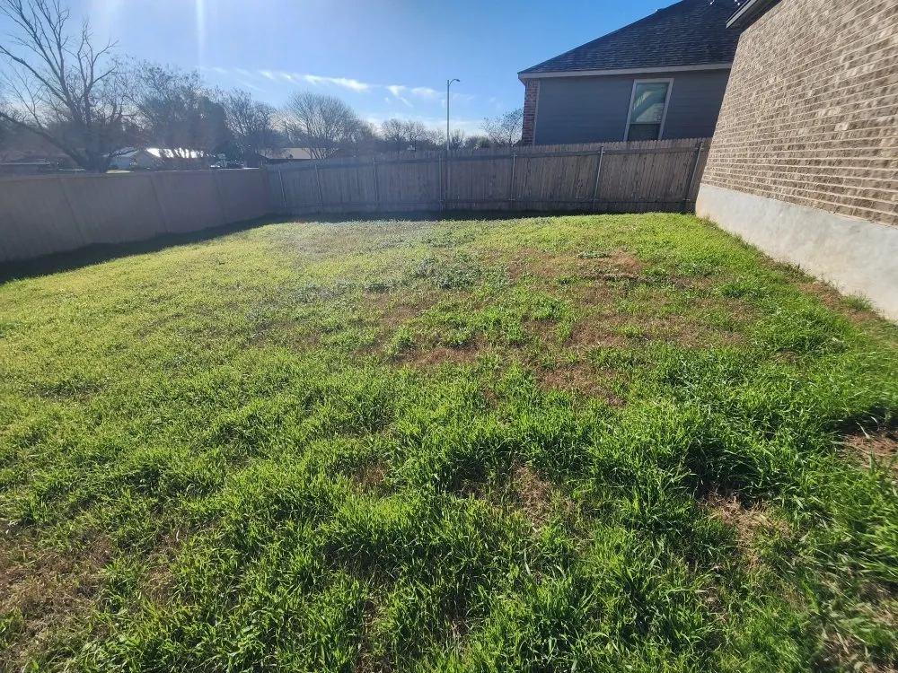 Professional lawn mowing service with custom design across Austin, TX - ATX Landscaping & More