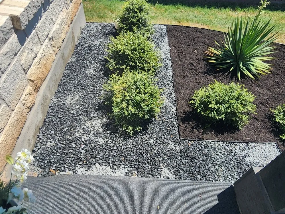 Local yard cleanup service experts serving Austin, TX - ATX Landscaping & More