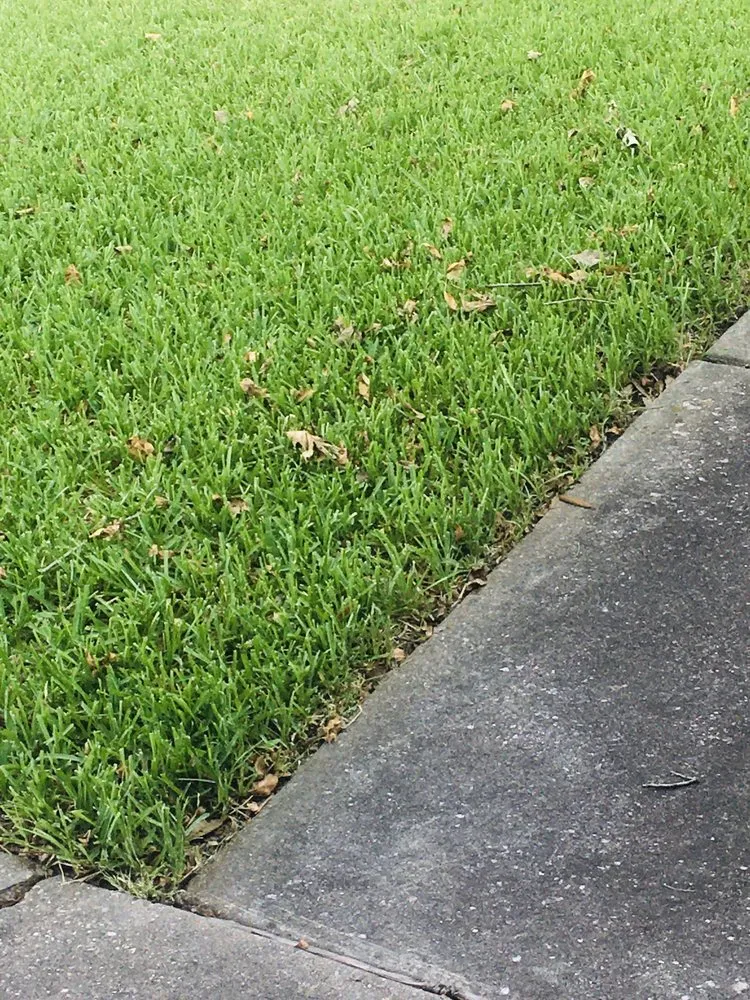 Trusted lawn care service for beautiful yards across Pflugerville, TX - ATX Lawn Care