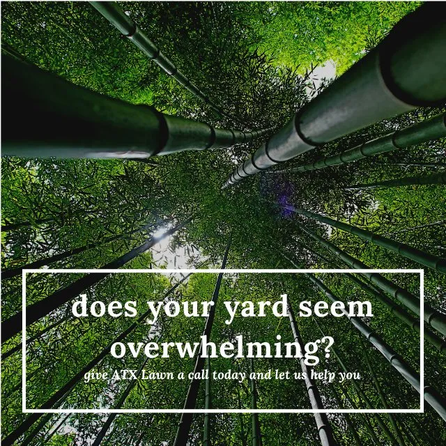 Local garden landscaping experts serving Pflugerville, TX - ATX Lawn Care