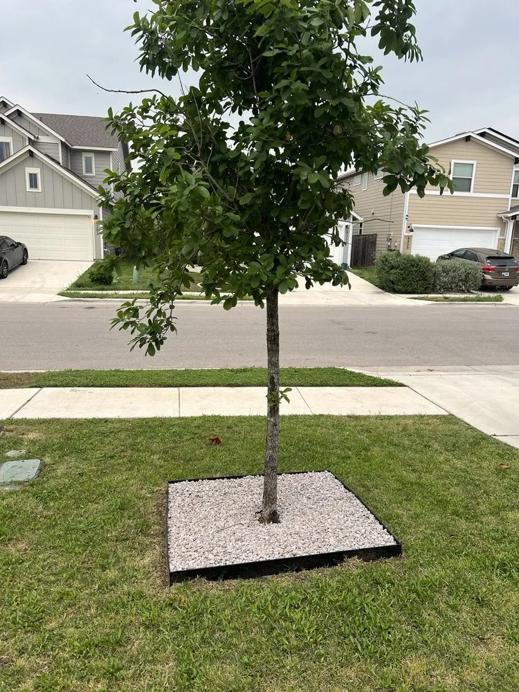 Custom lawn care service in Austin, TX - ATX Prestige Landscaping