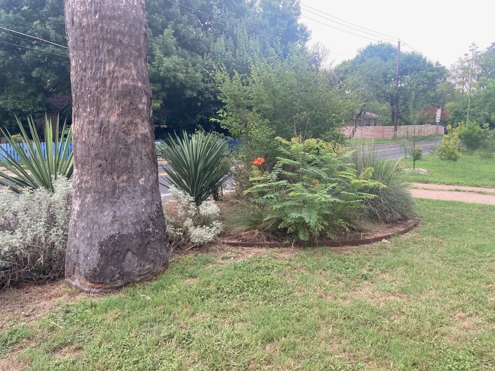 Trusted garden landscaping in Austin, TX - ATX Tree, Fence & Lawn