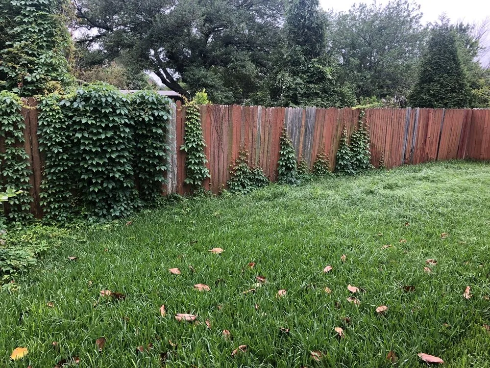 Top-rated landscape design in Austin, TX by ATX Tree, Fence & Lawn